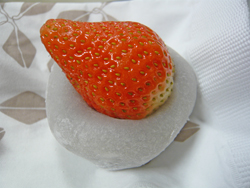 P1110585s.jpg