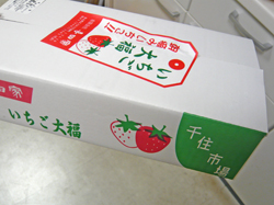 P1110591s.jpg